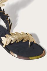PUCCI Shoes | Women Edera Sandals