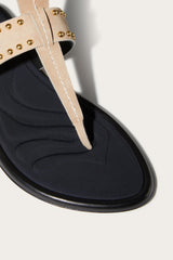 PUCCI Shoes | Women Emilia Sandals