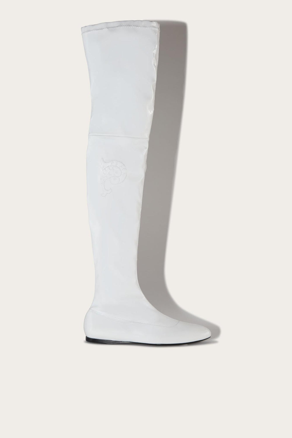 PUCCI Shoes | Women Galaxy Boots