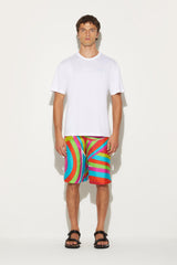 PUCCI Ready To Wear | Men Iride-Print Silk-Twill Shorts