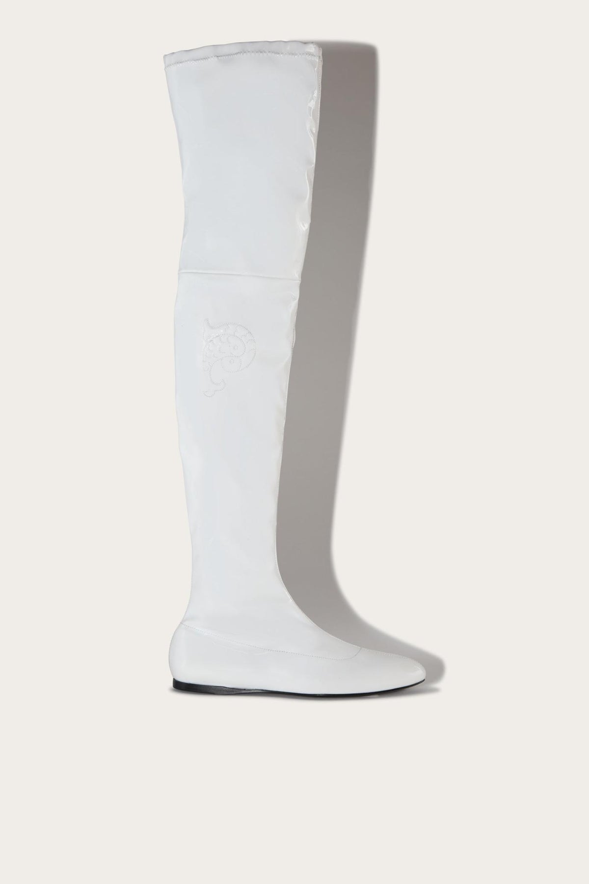 PUCCI Shoes | Women Galaxy Boots